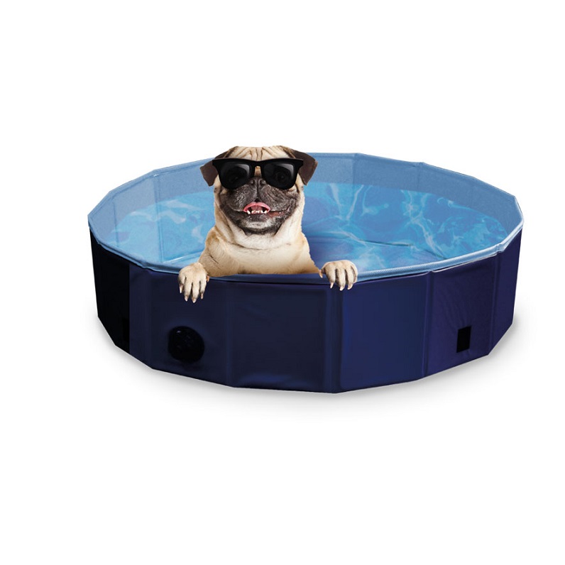 Arquivet Piscina Perros para perros