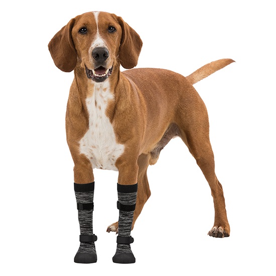 BOTAS CALCETINES PARA PERROS WALKER SUELA GOMA TRIXIE - Decoracuarium - El  Supermercado de tu mascota - Tienda de Animales en Tenerife